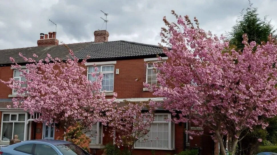 Lodge Lane, Hyde, Greater Manchester, SK14, photo 9