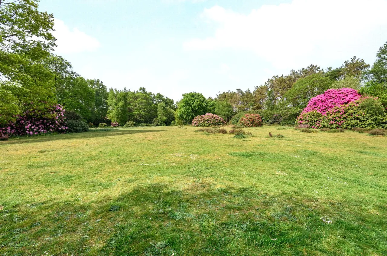 Kings Drive, Midhurst, GU29, photo 12