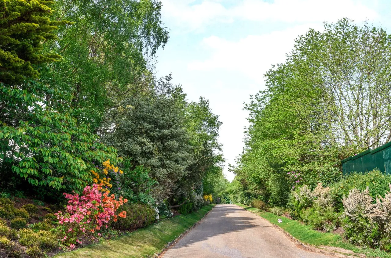 Kings Drive, Midhurst, GU29, photo 14