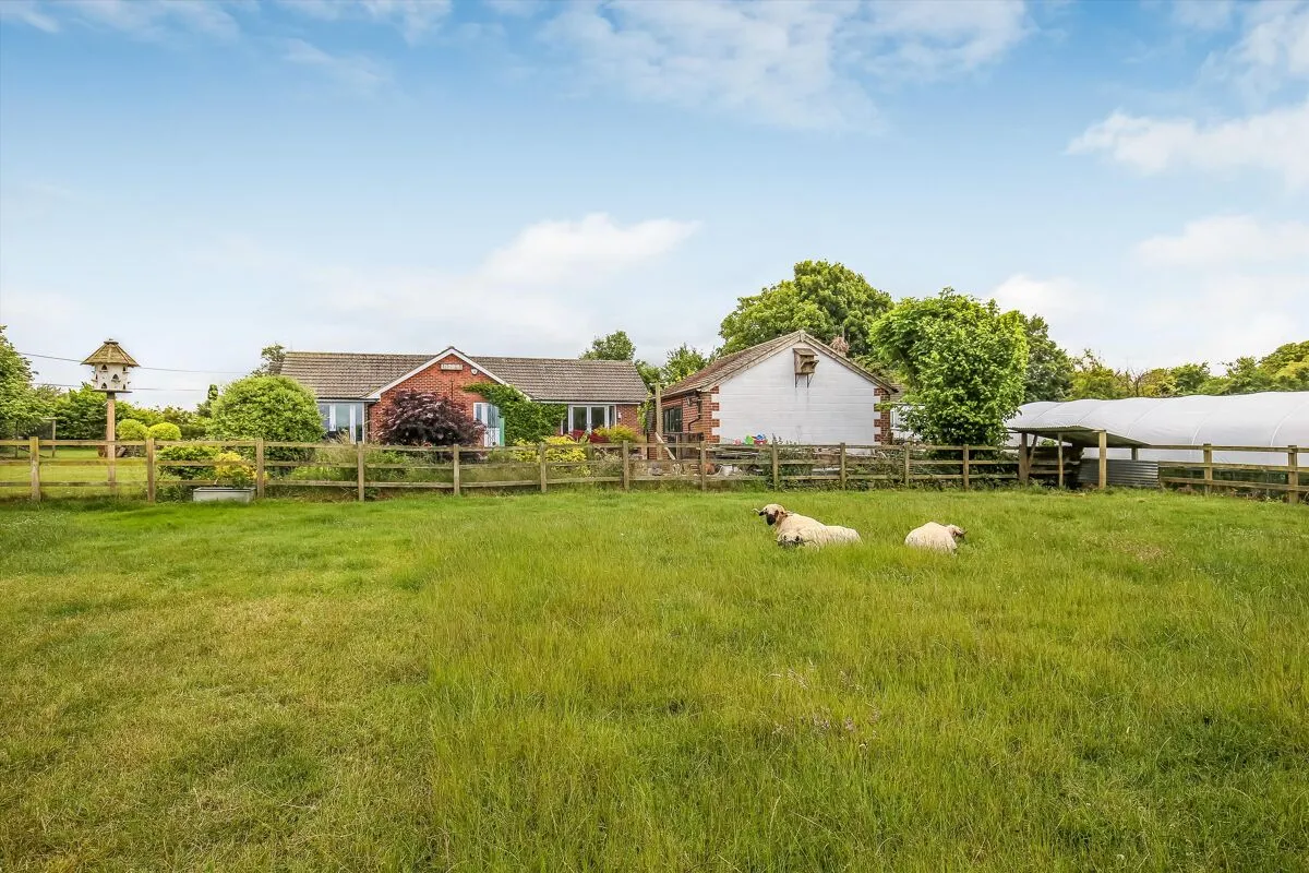 Drove Road, Chilbolton, SO20, photo 19