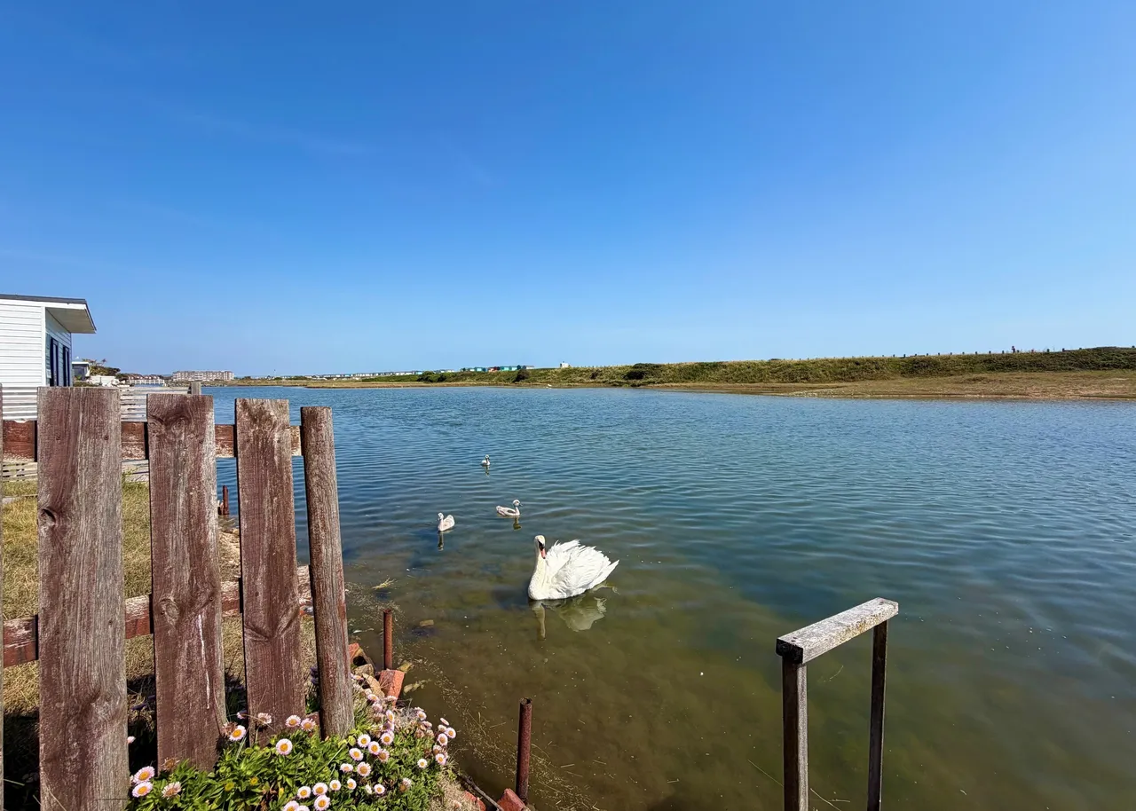 Brighton Road, Lancing, BN15, photo 9