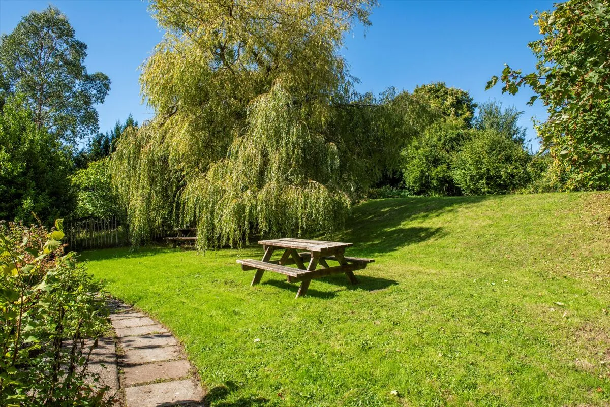 Old Beer Road, Seaton, EX12, photo 25