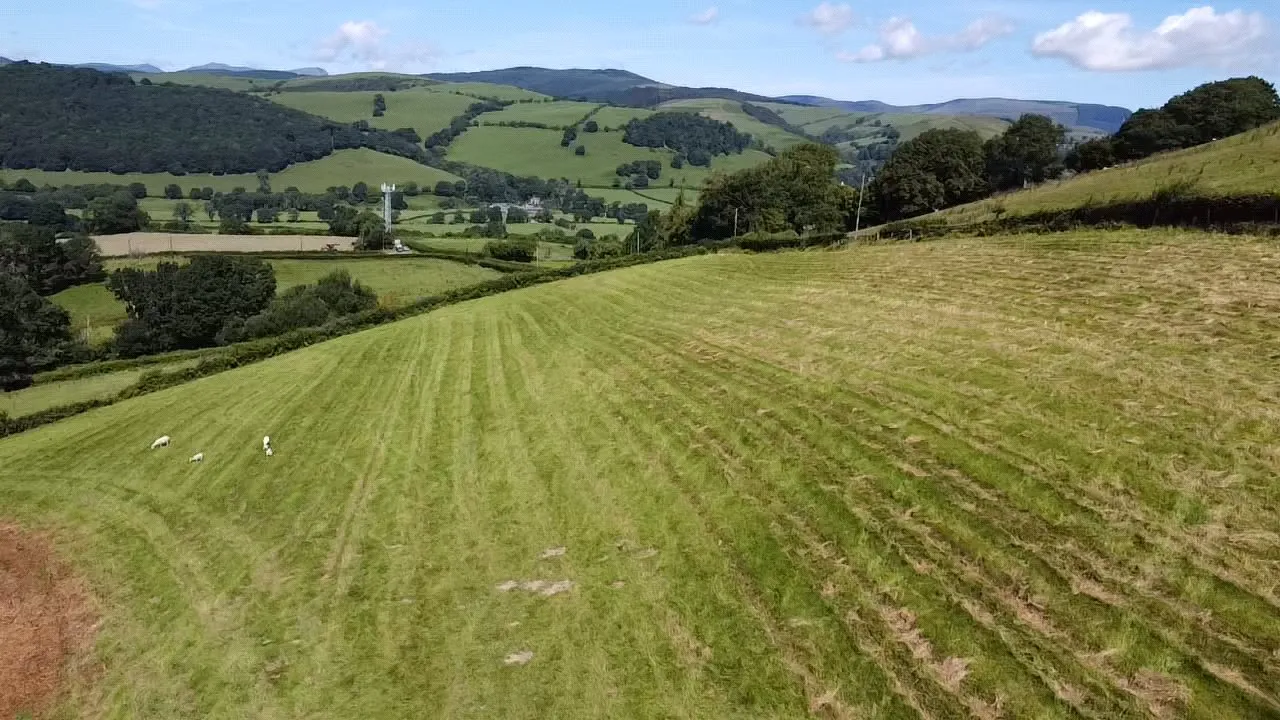 Cemmaes, Machynlleth, photo 41