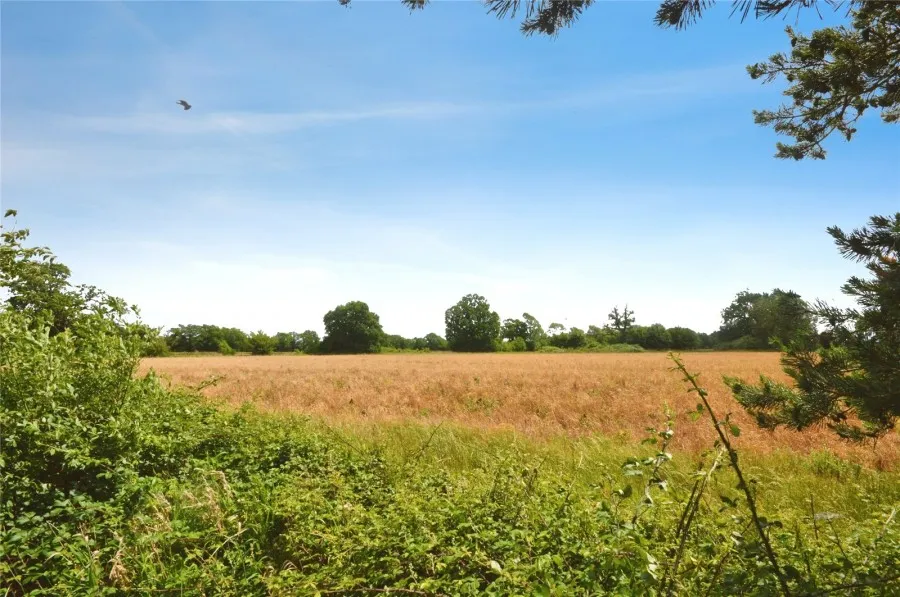 with 3 bedrooms in Buntingford, SG9, photo 16