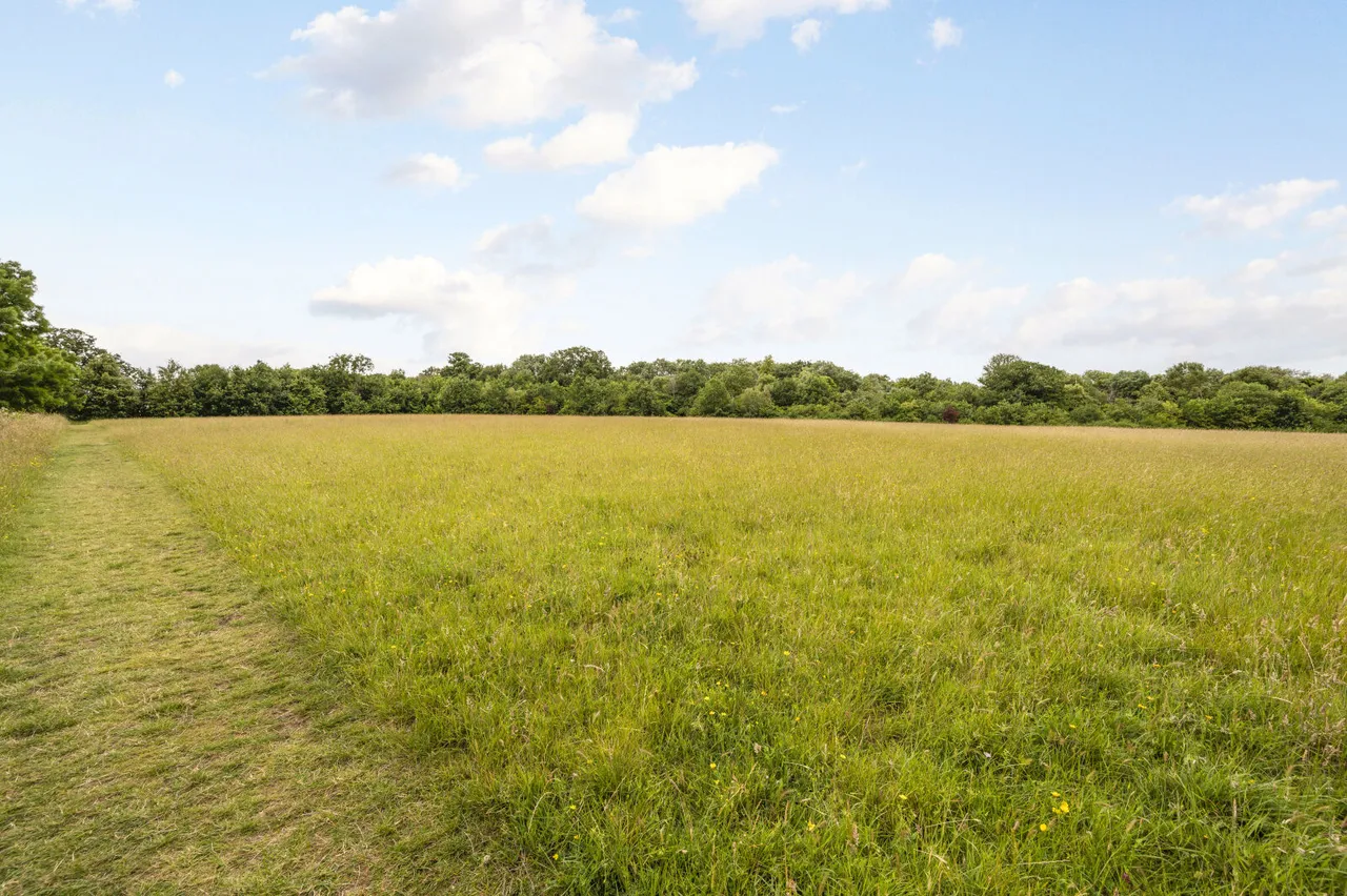 Cherrywood Lane, Morden, SM4, photo 17
