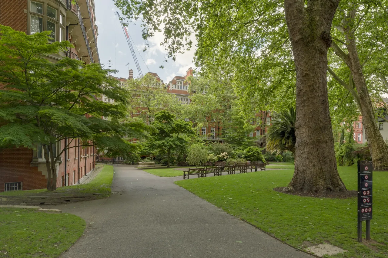 South Street, Mayfair, W1K, photo 13