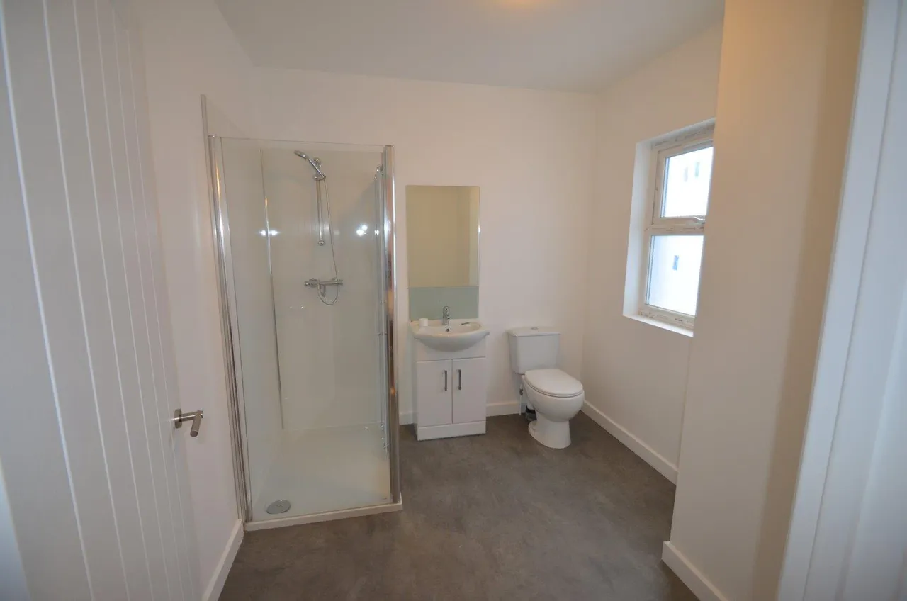 Hill Park Crescent, Plymouth, photo 10
