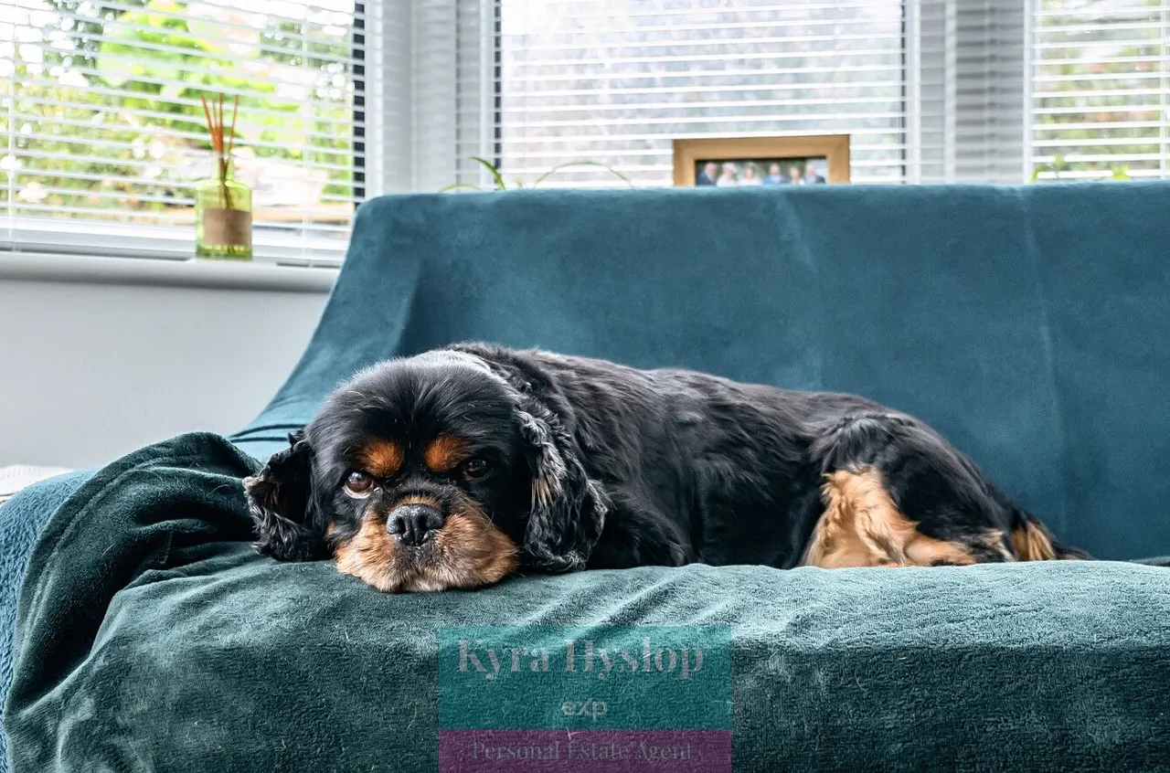 London Road, Rockbeare, EX5, photo 8