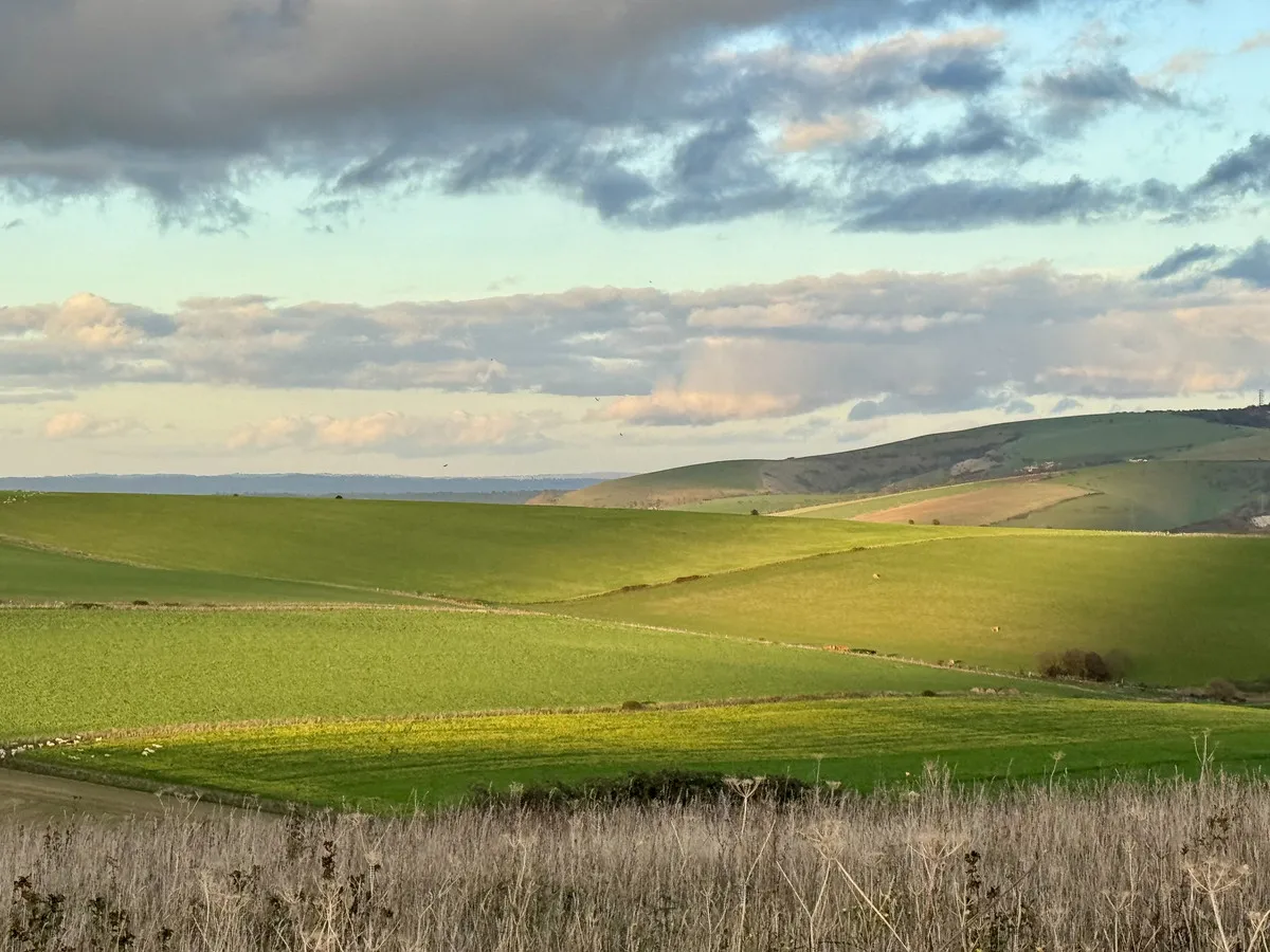 North Lancing, BN15 0QE, photo 36