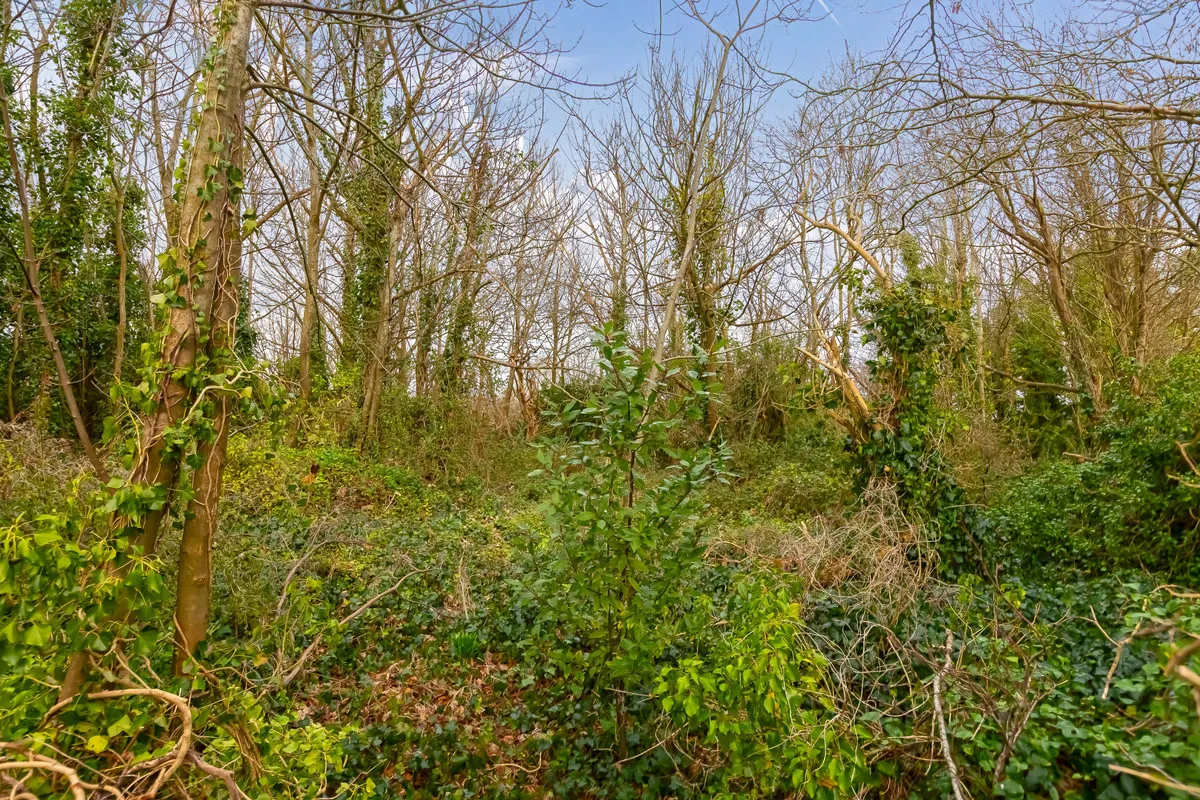 North Lancing, BN15 0QE, photo 32
