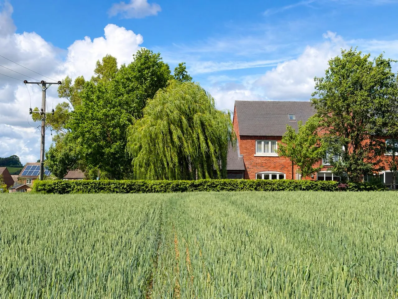 Caulkley View, Swadlincote, DE11, photo 18