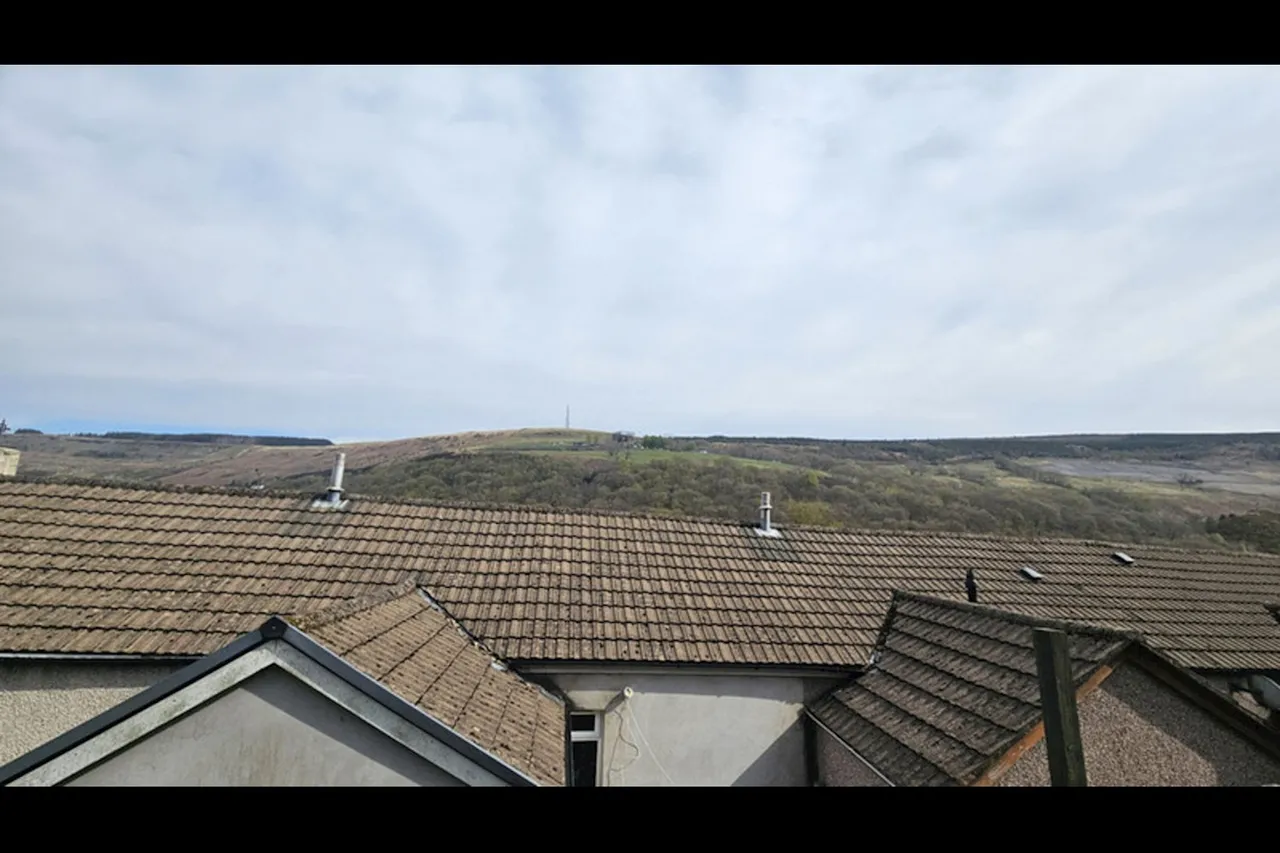 Oakland Terrace, Ferndale, CF43, photo 16