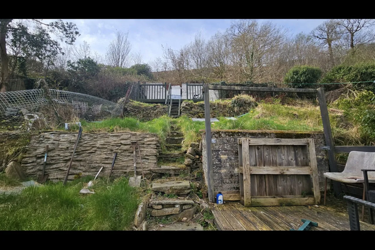 Oakland Terrace, Ferndale, CF43, photo 14
