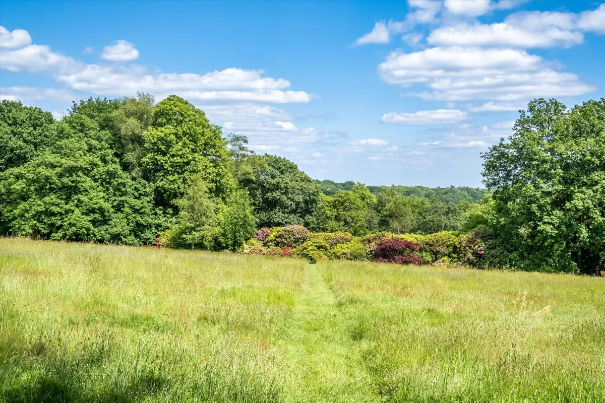 Farnham Lane, Haslemere, GU27, photo 22