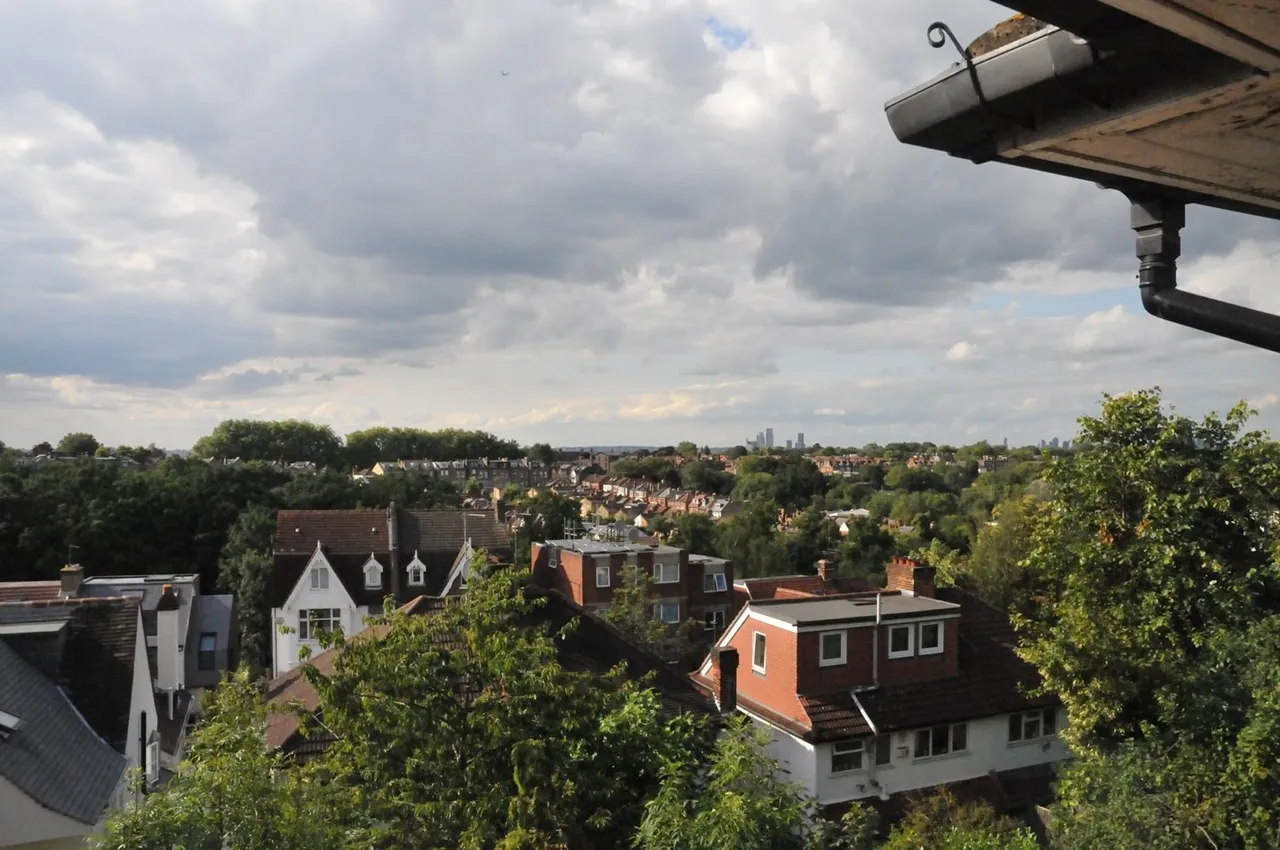 Leigham Court Road, Streatham, London, SW16, photo 12