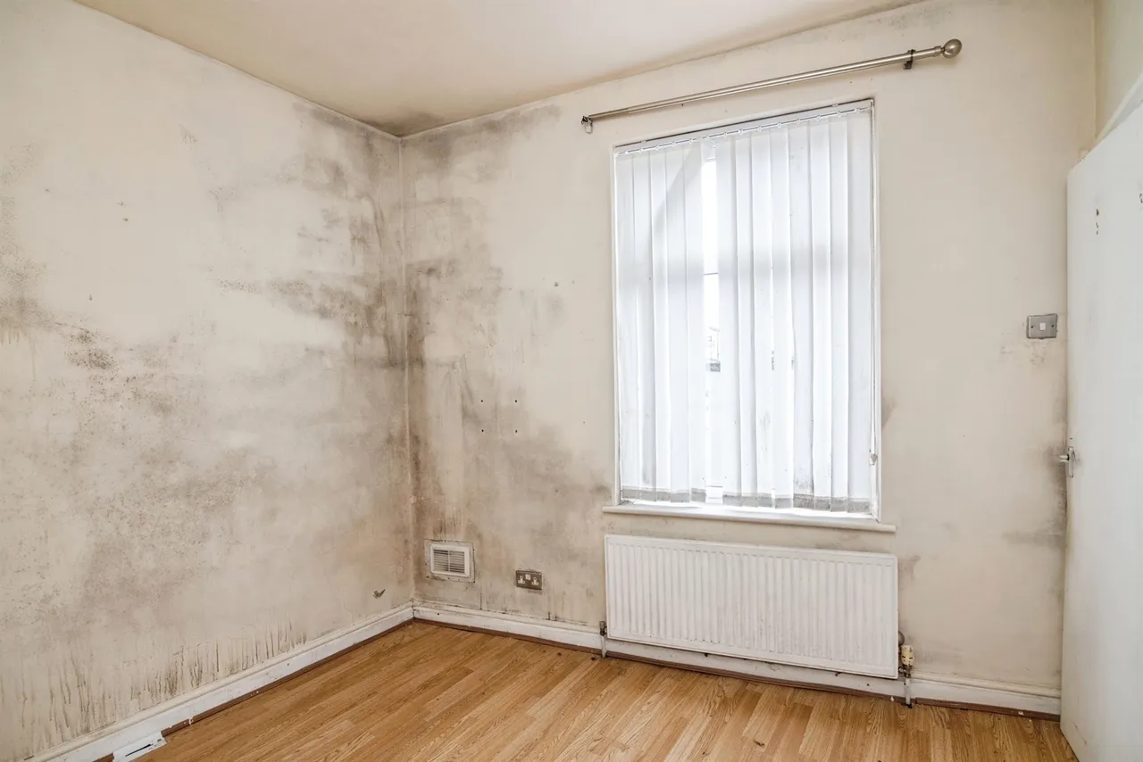 Trafalgar Road, Smethwick, B66, photo 16