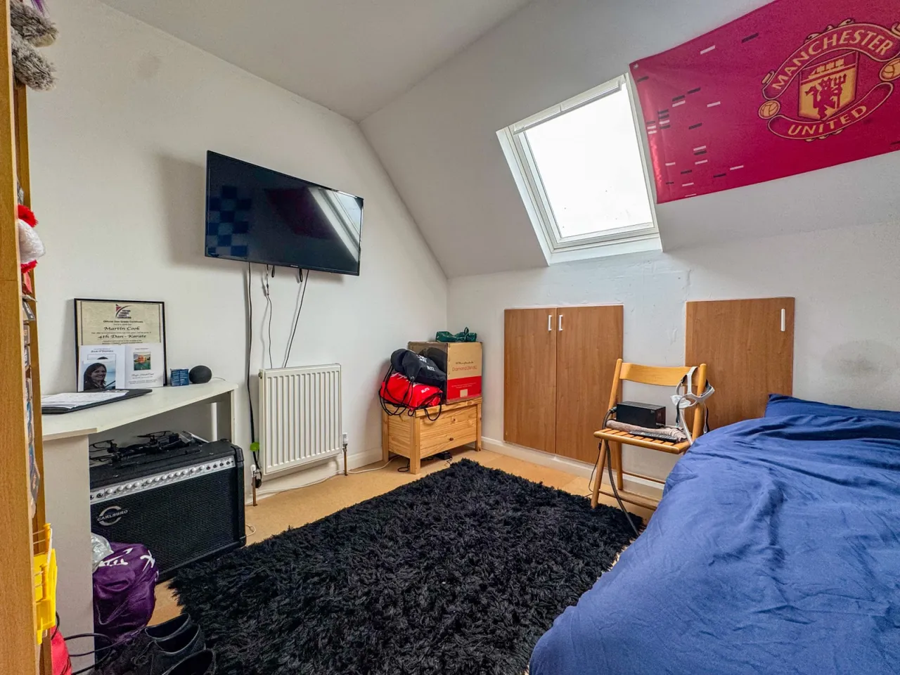 Severn View Road, Thornbury, BS35, photo 19