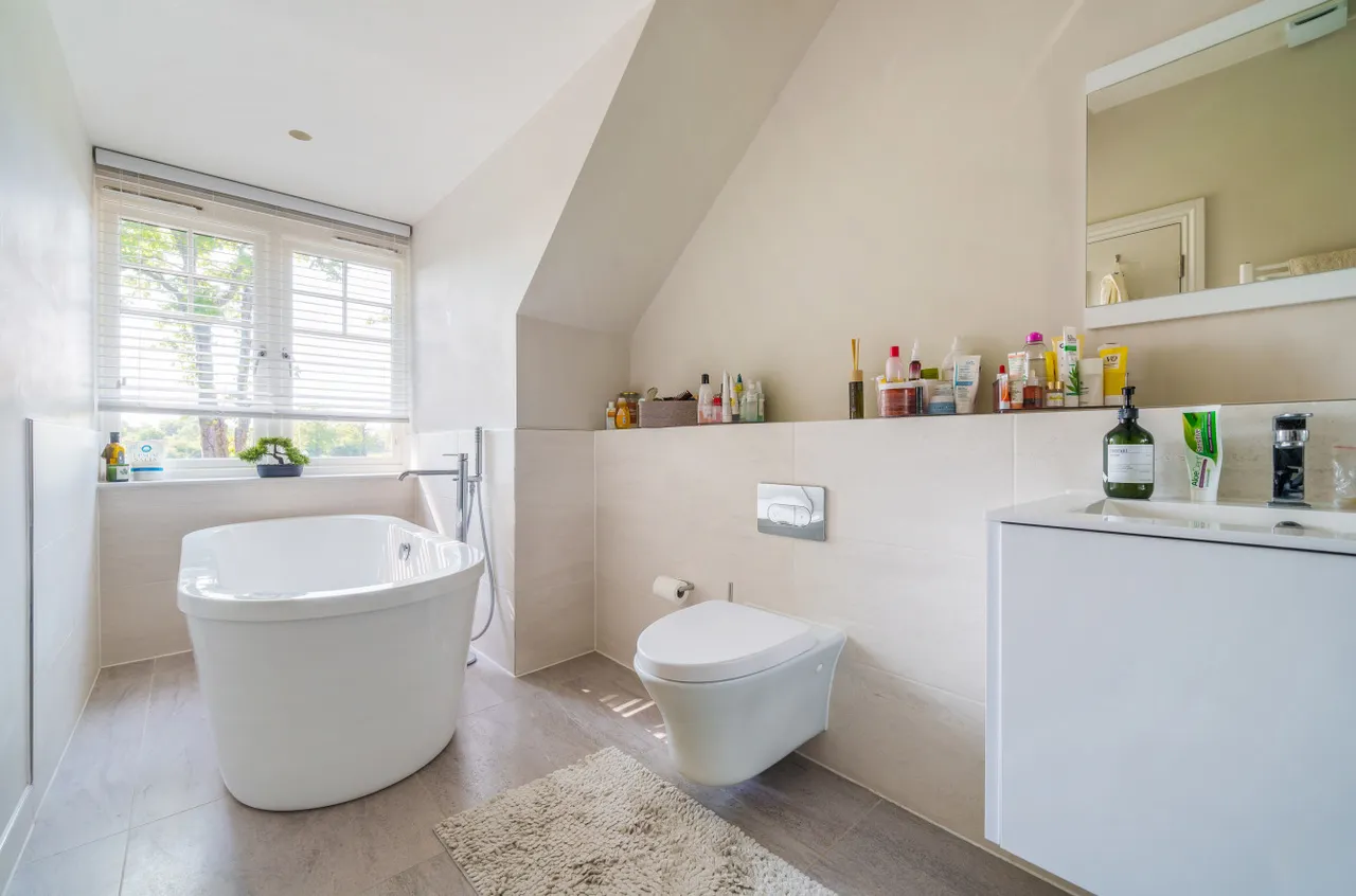Flexlands Place, Chobham, GU24, photo 11