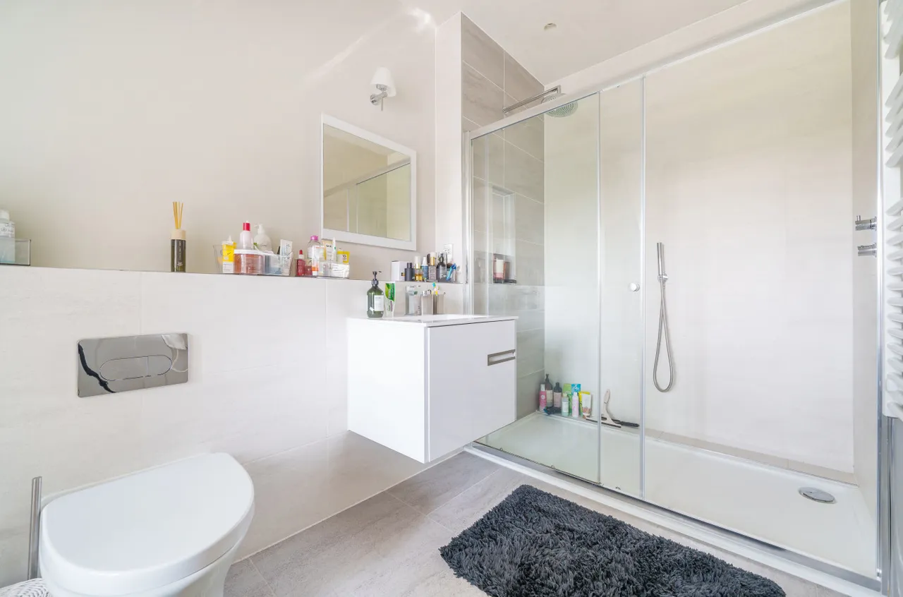 Flexlands Place, Chobham, GU24, photo 12