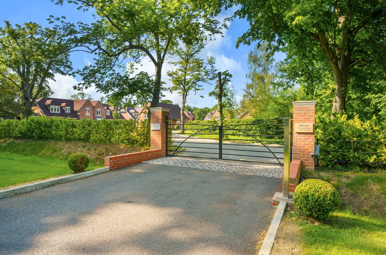 Flexlands Place, Chobham, GU24, photo 23