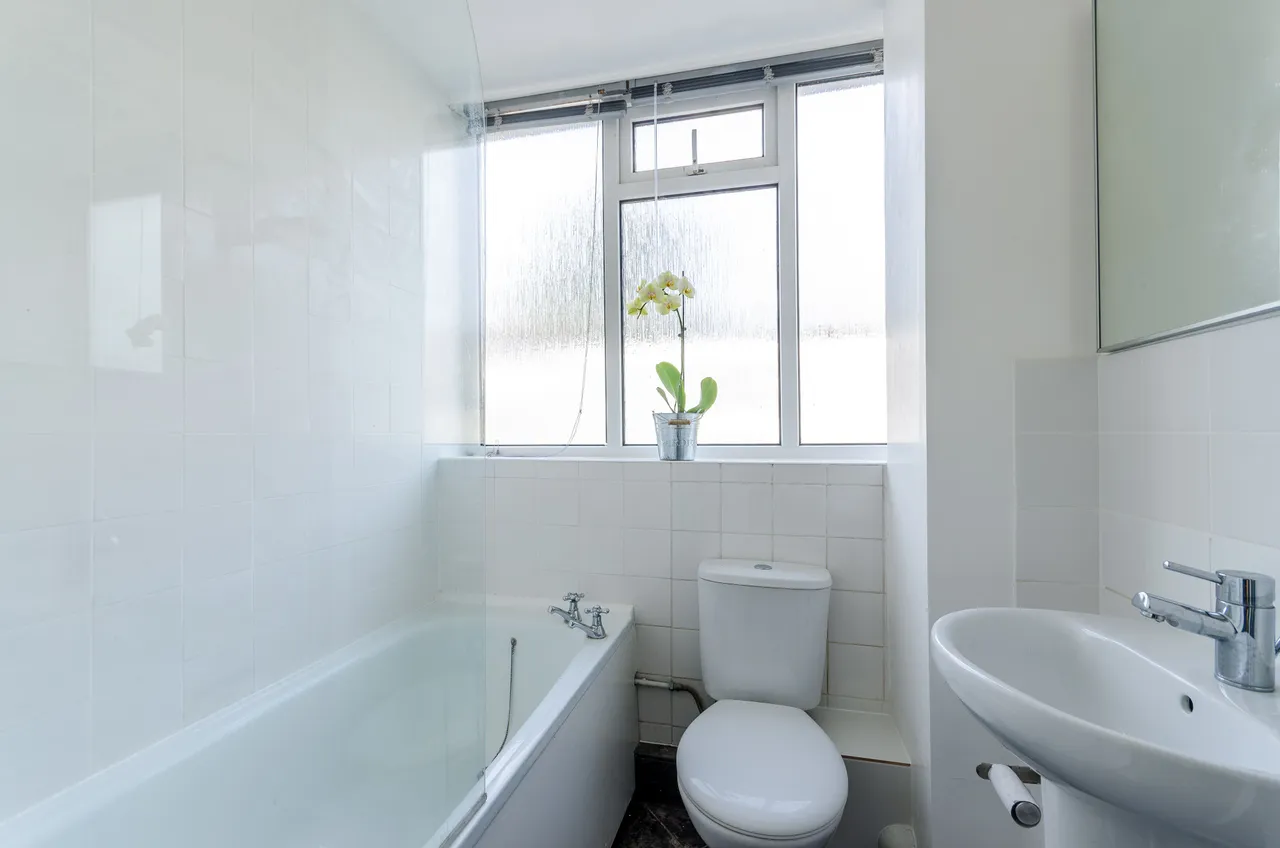 15 Meadow Road, London, photo 6
