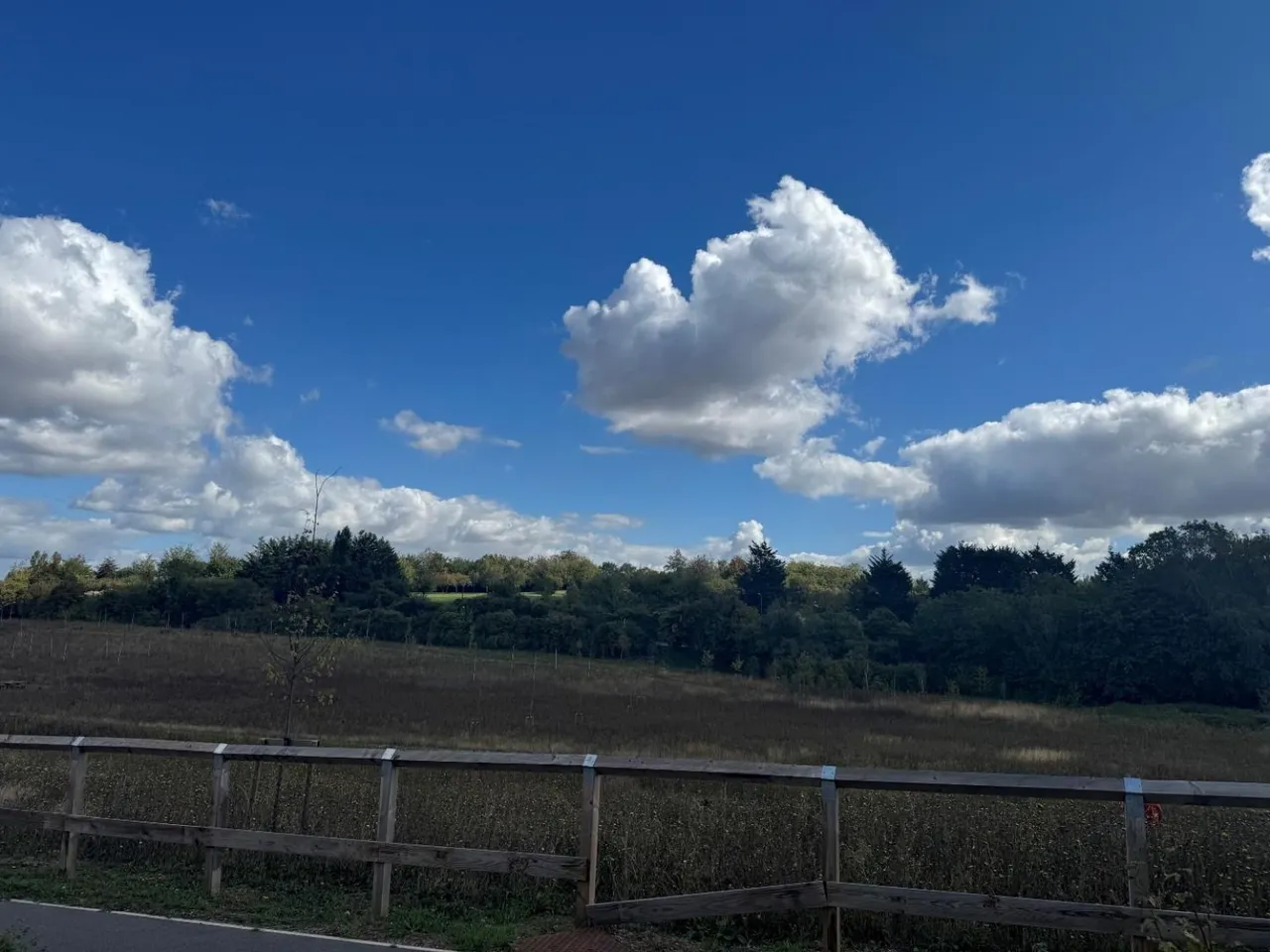 Cornfield Drive, Gravesend, DA11, photo 8
