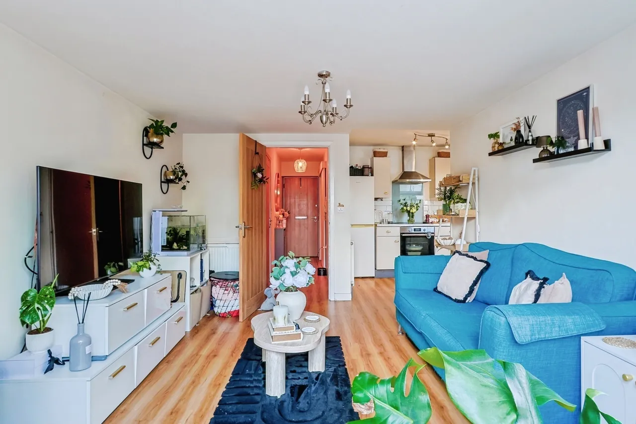 Frampton Road, Bournemouth, BH9, photo 9