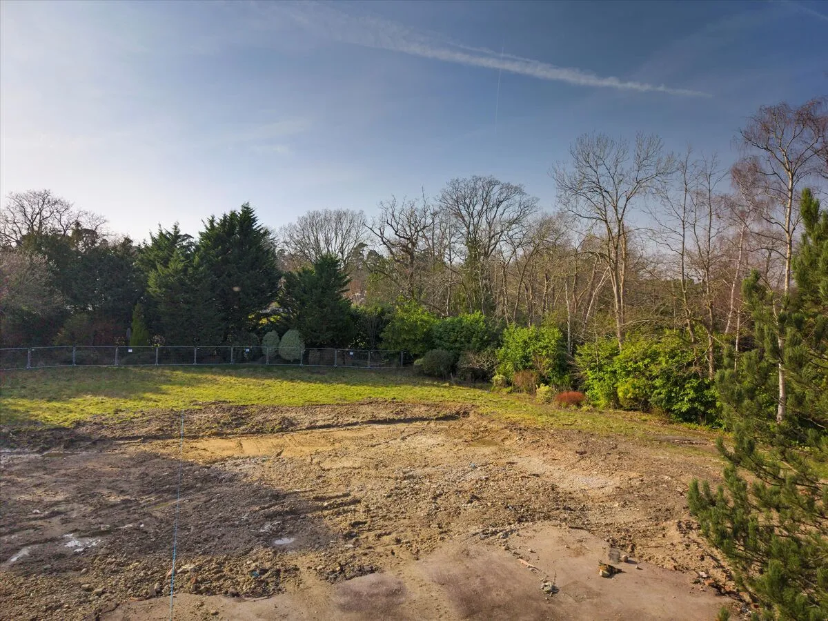 Broomfield Ride, Oxshott, KT22, photo 2