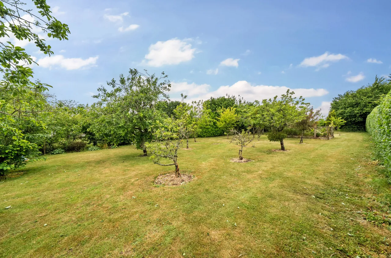 Gascoigne Lane, Ropley, SO24, photo 19