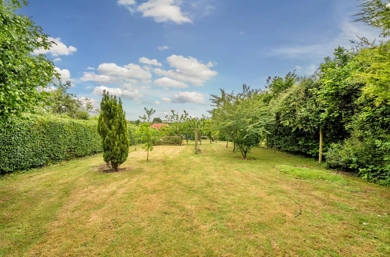 Gascoigne Lane, Ropley, SO24, photo 8