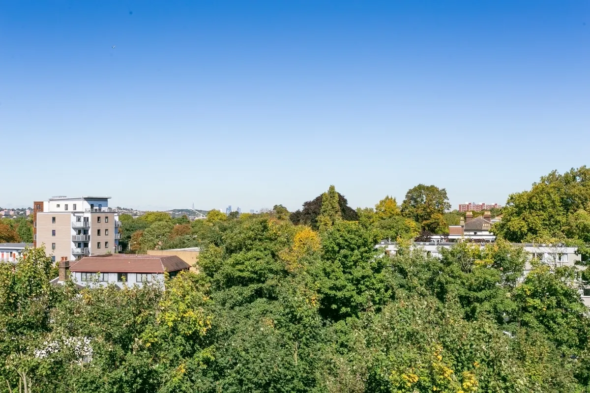 Albemarle Road Beckenham BR3, photo 5