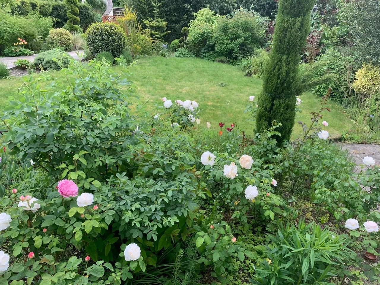Coombe Road, Salisbury, Wiltshire, SP2 8BN, photo 15