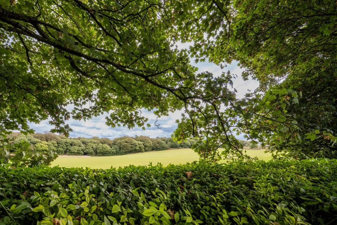 Crank Road, Billinge, WN5, photo 42
