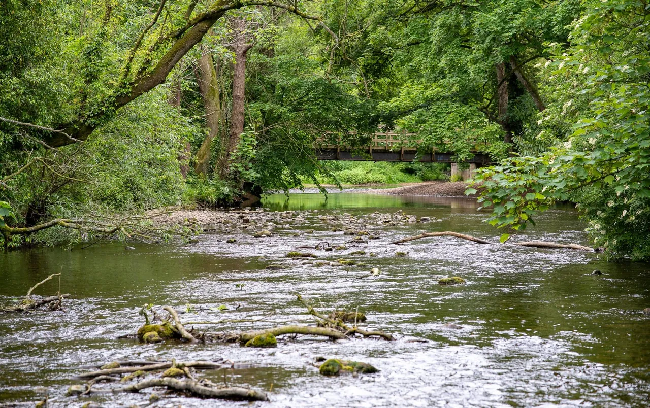 Borrage Lane, Ripon, HG4, photo 24
