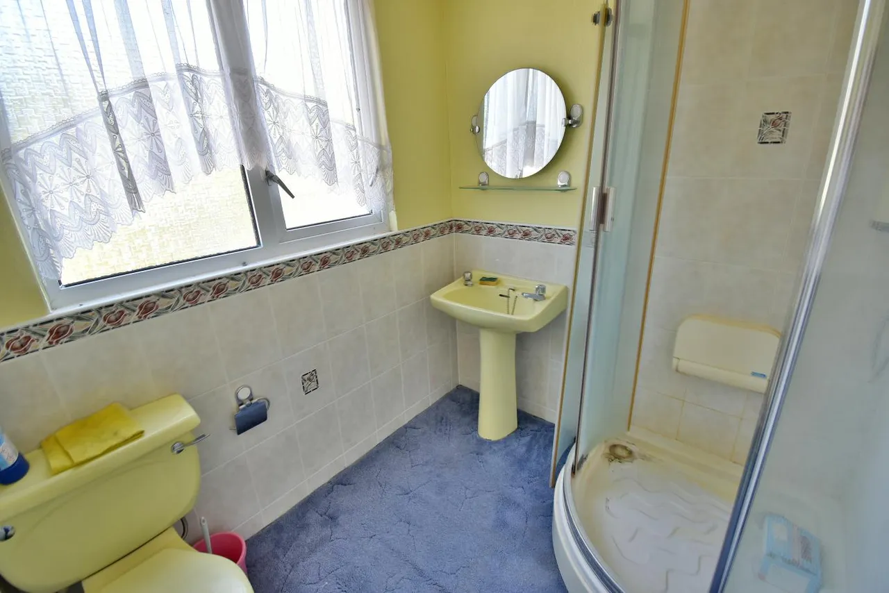 Birch Avenue, BH22, photo 17