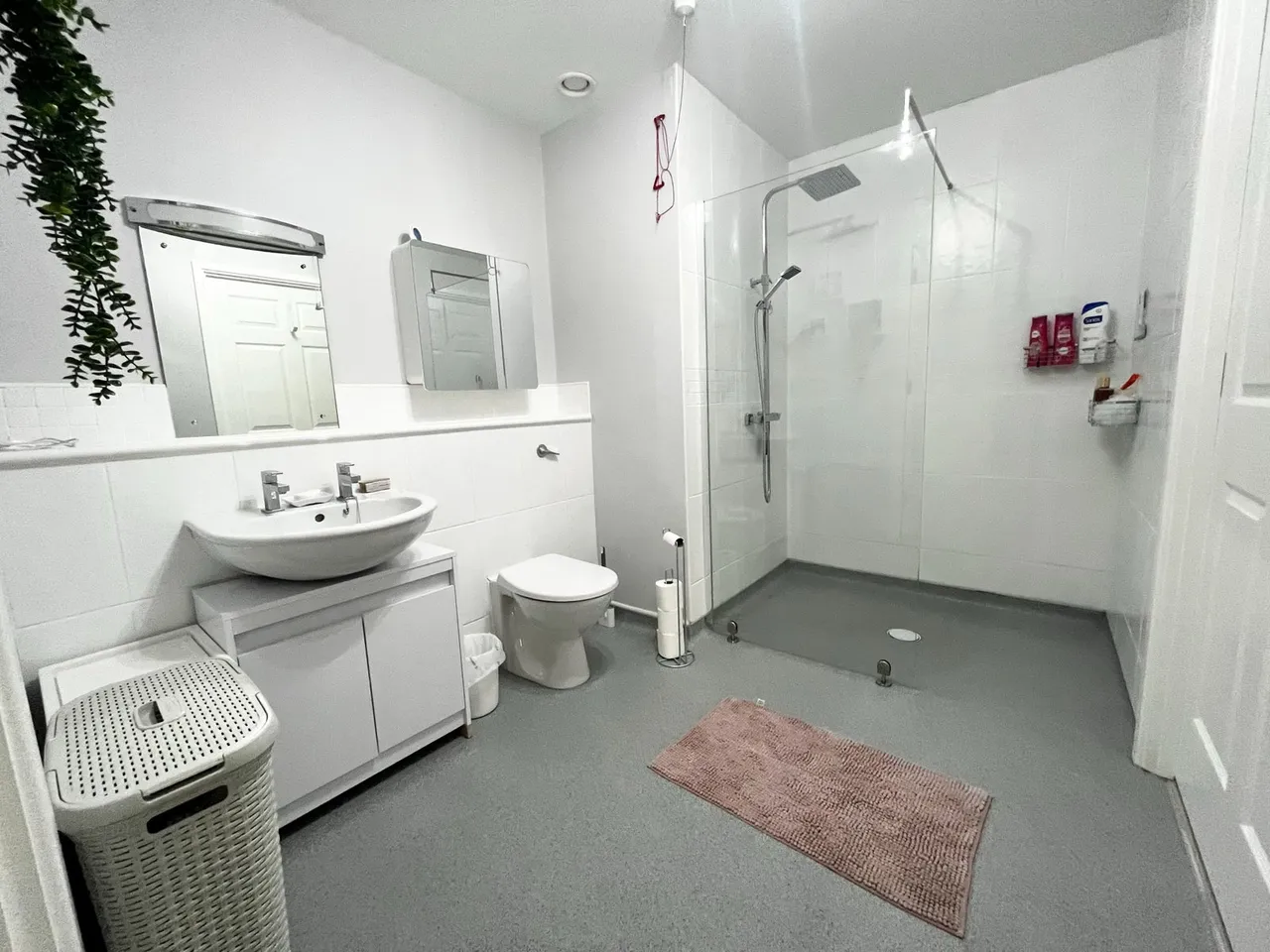 Saxon Court, Turves Green, photo 14