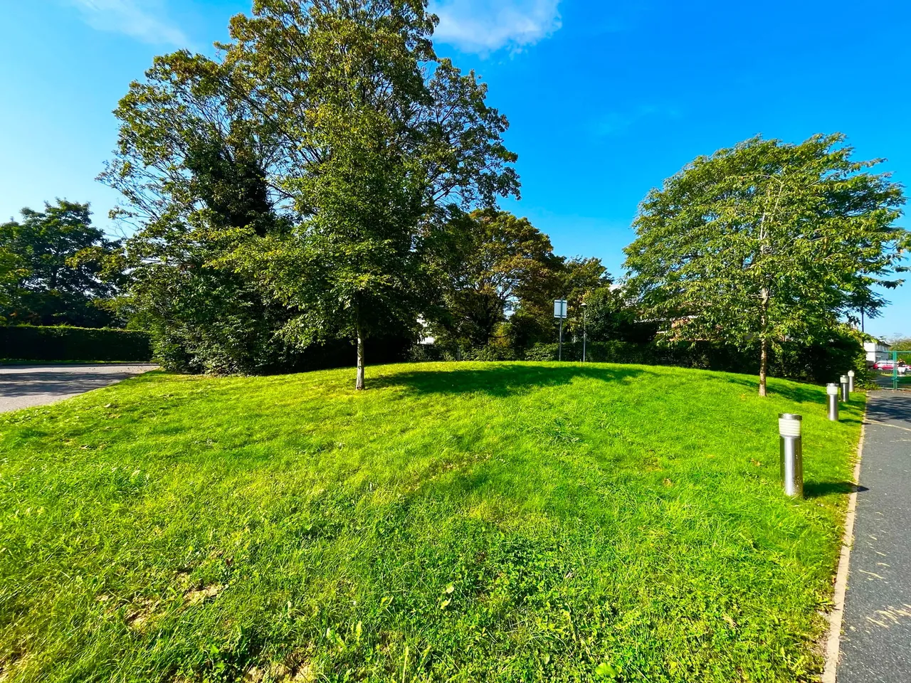 Saxon Court, Turves Green, photo 16