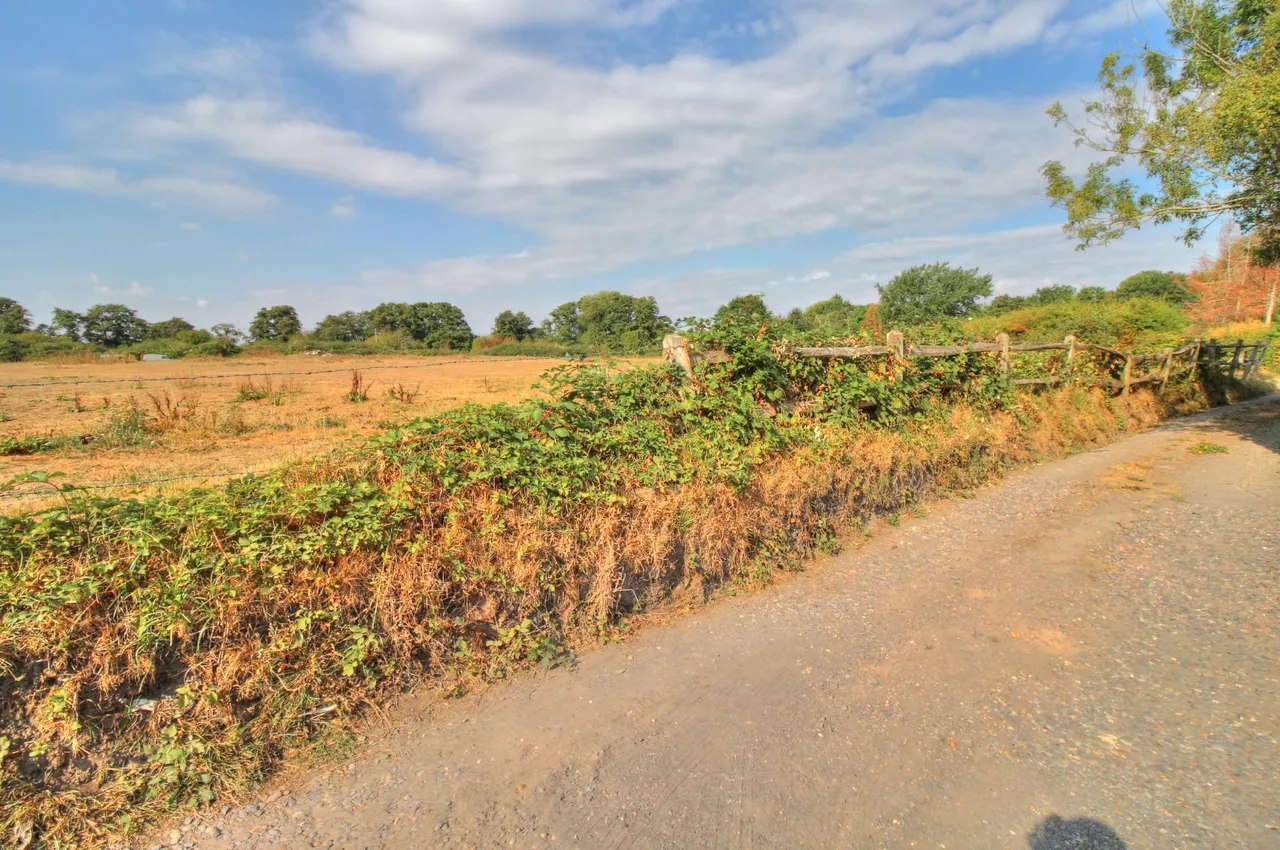 Bailes Lane, Guildford, GU3, photo 24