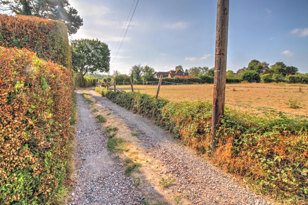 Bailes Lane, Guildford, GU3, photo 23