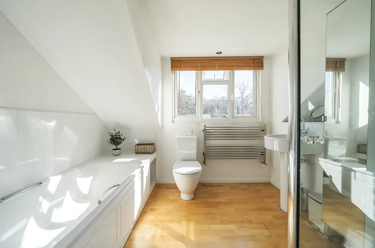Durfold Wood, Plaistow, RH14, photo 11