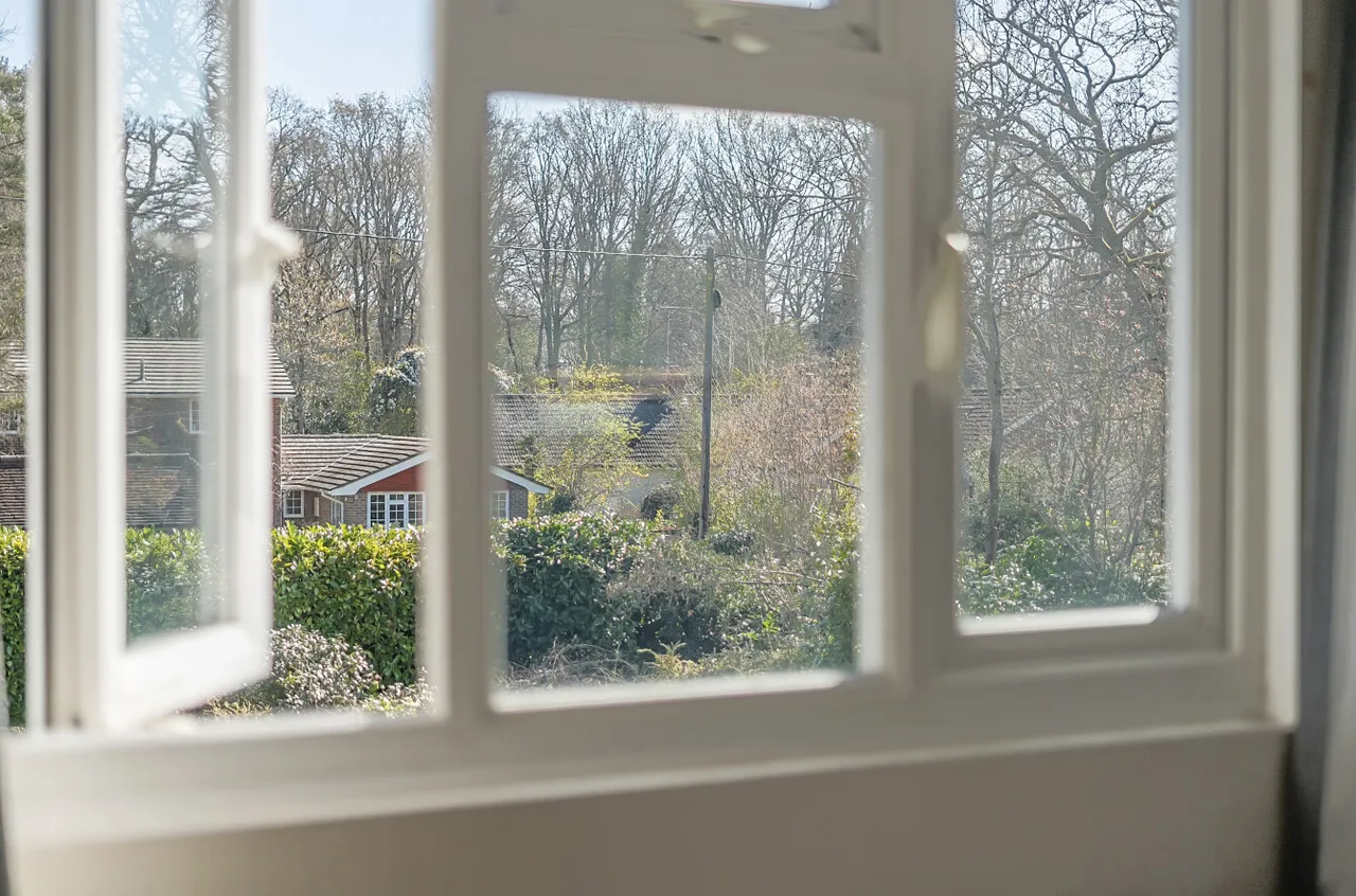 Durfold Wood, Plaistow, RH14, photo 25