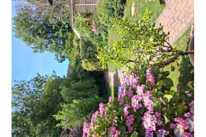 Southfield Avenue, Watford, WD24, photo 25