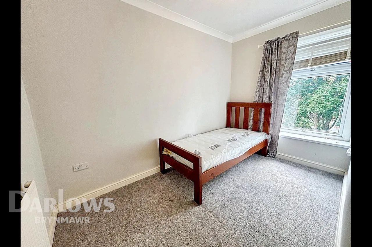 Garn Terrace, Ebbw Vale, photo 6