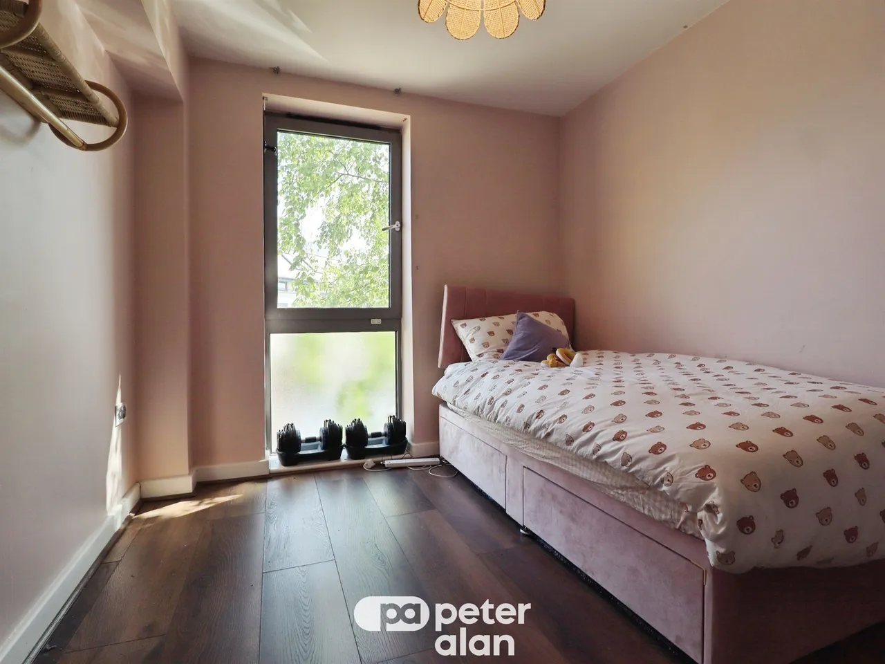 Cathays Terrace, Cardiff, CF24, photo 10