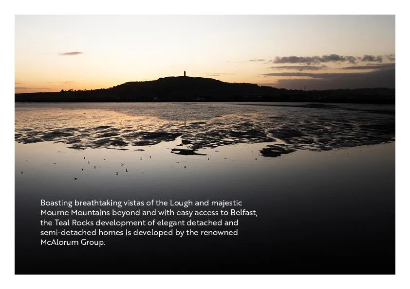 Teal Rocks, Newtownards, TR13, photo 9