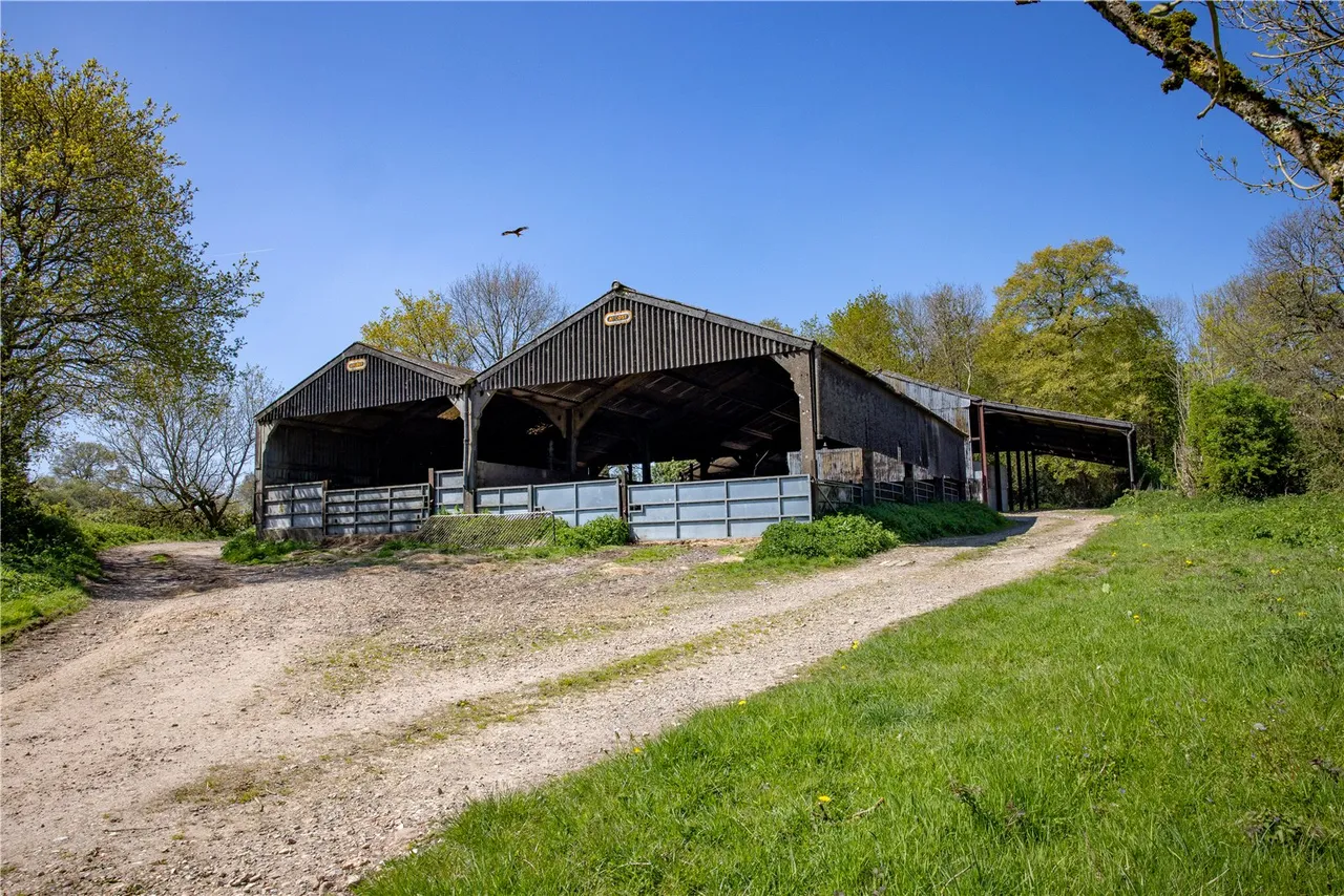 East Meon, Petersfield, GU32, photo 6