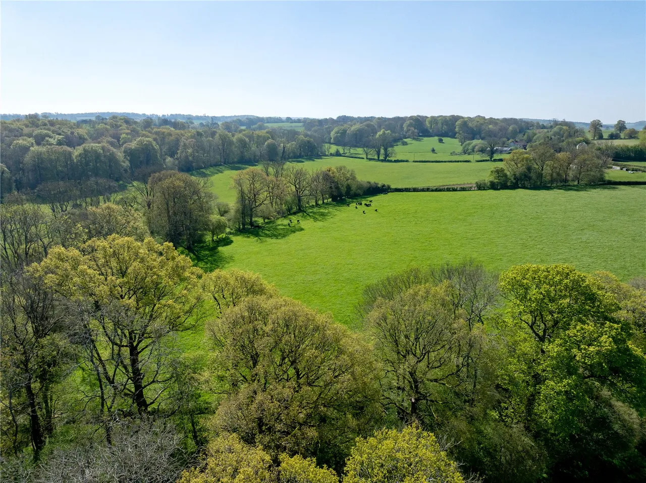 house for sale, East Meon, Petersfield, GU32