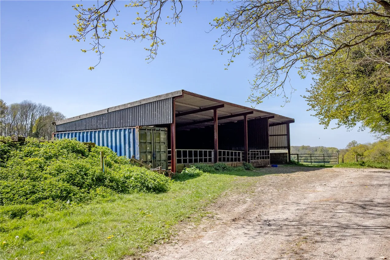 East Meon, Petersfield, GU32, photo 7