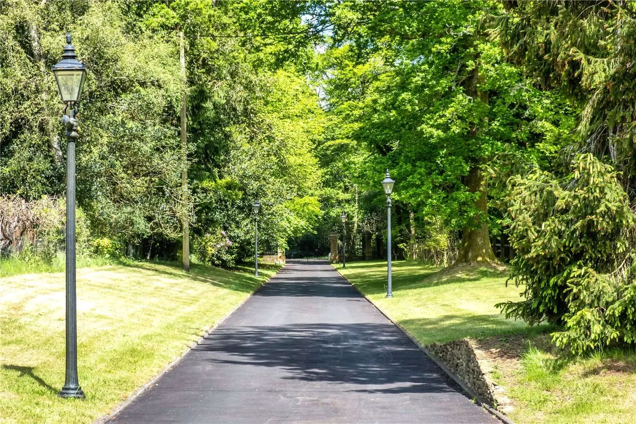 Durford Wood, Petersfield, GU31, photo 20
