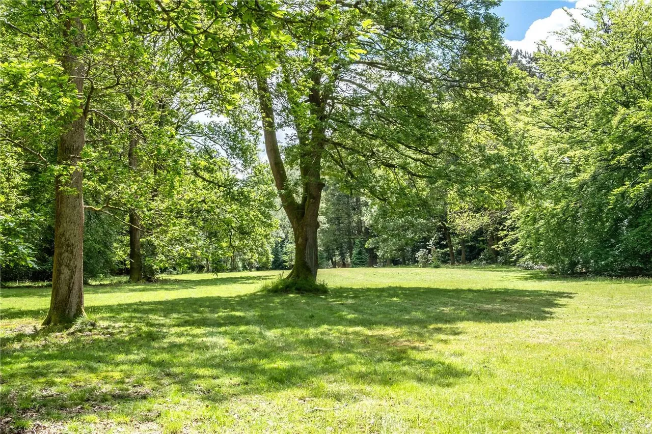 Durford Wood, Petersfield, GU31, photo 16